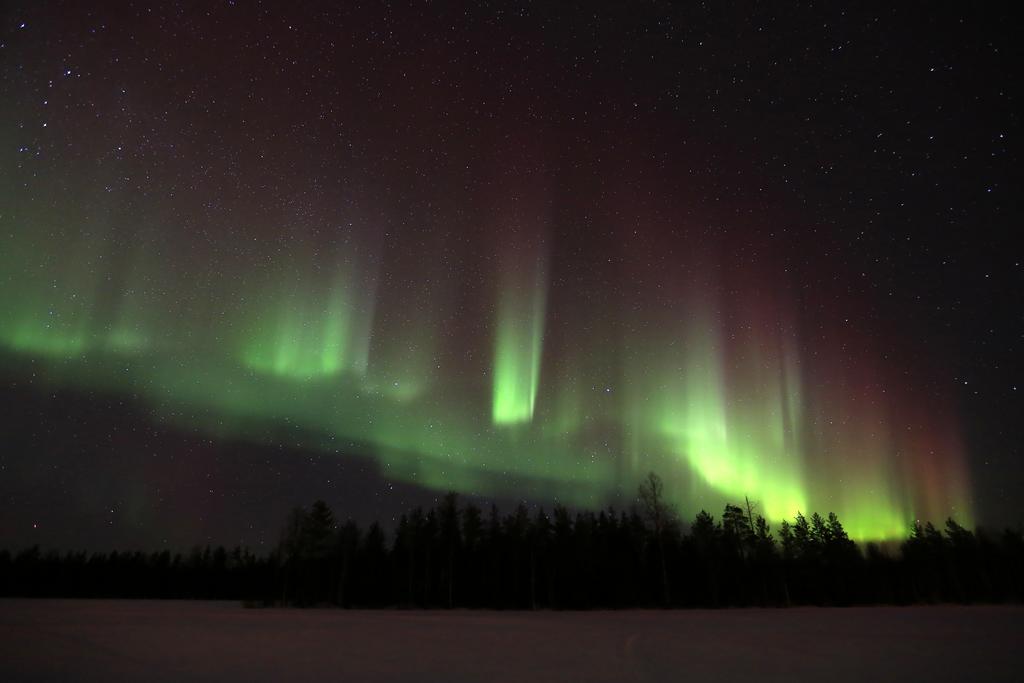 Lapland Northern Lights Hotel Ilveslinna Ranua Exterior foto
