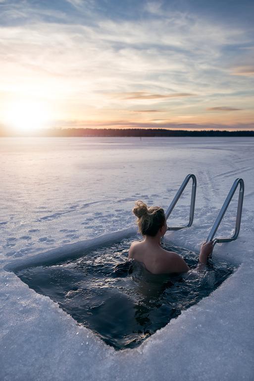Lapland Northern Lights Hotel Ilveslinna Ranua Exterior foto